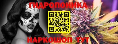 индика Ливны