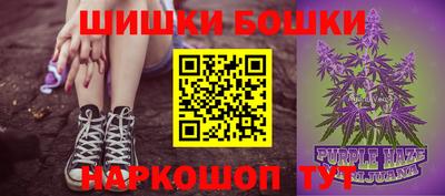 индика Ливны