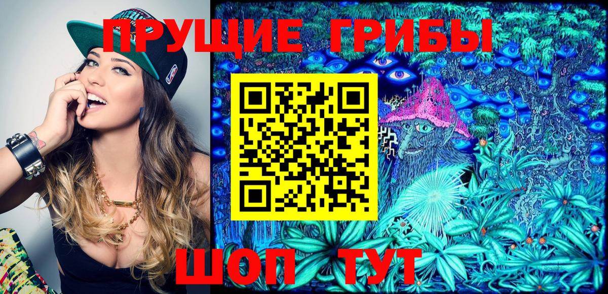 Карталы  Галлюциногенные грибы GOLDEN TEACHER  магазин продажи   Вход с VPN 