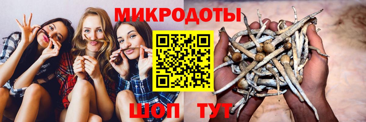 Галлюциногенные грибы Cubensis Карталы